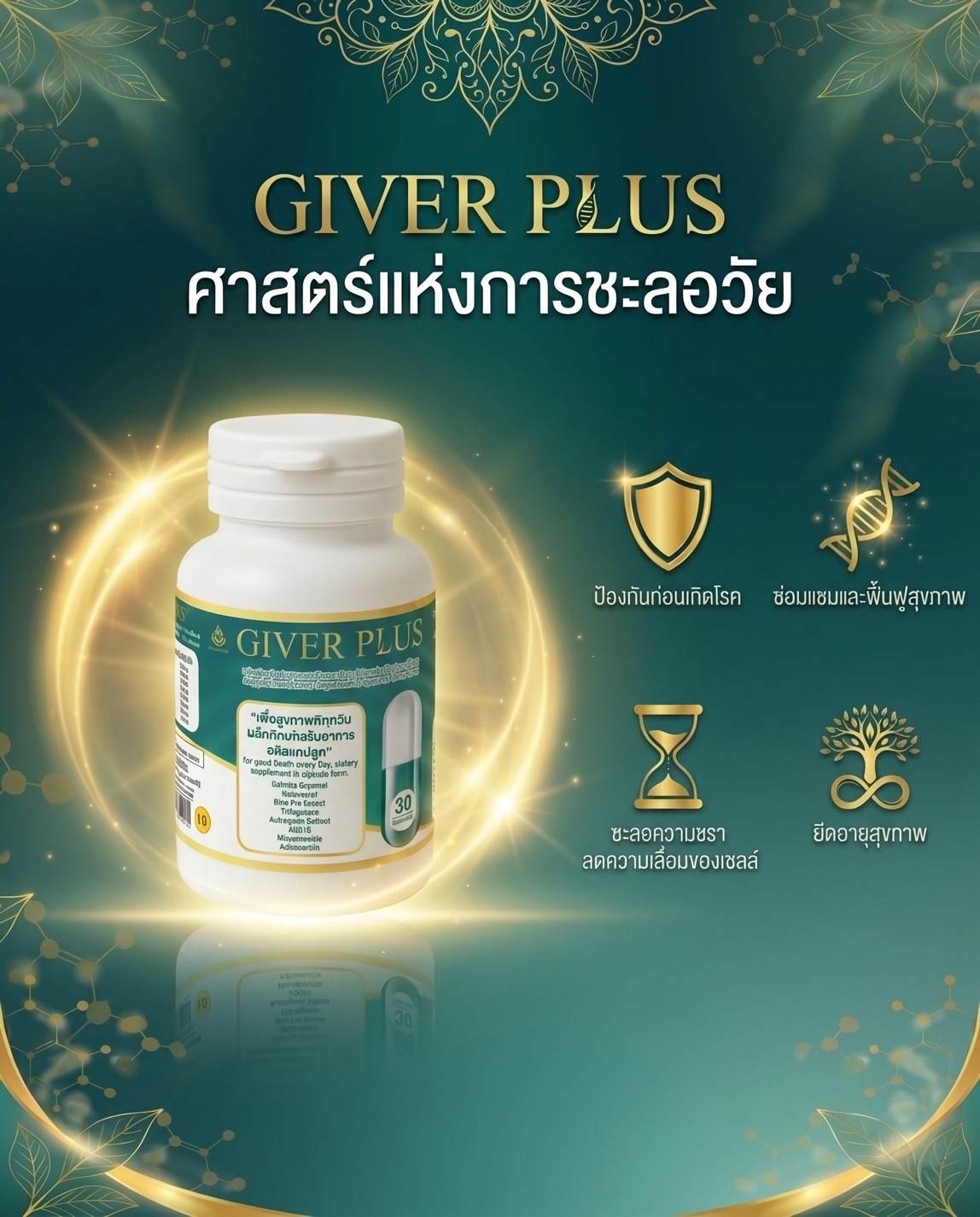 Giver Plus 1 Mobile